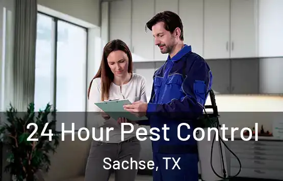  24 Hour Pest Control Sachse, TX