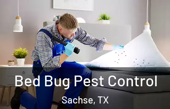  Bed Bug Pest Control Sachse, TX