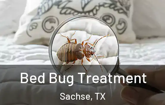  Bed Bug Treatment Sachse, TX
