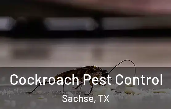  Cockroach Pest Control Sachse, TX