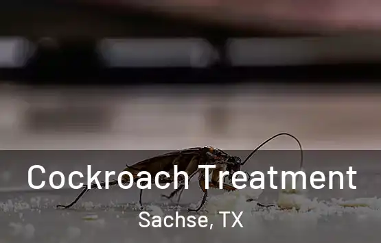  Cockroach Treatment Sachse, TX