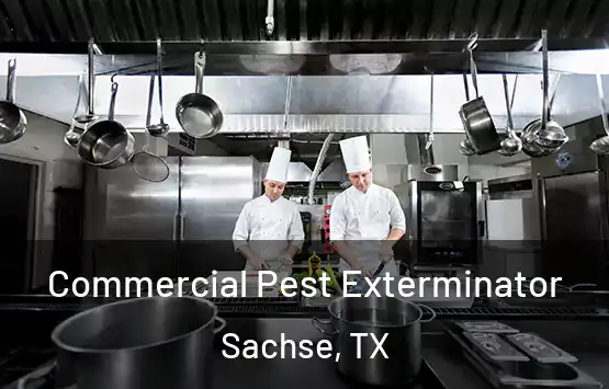 Commercial Pest Exterminator Sachse, TX