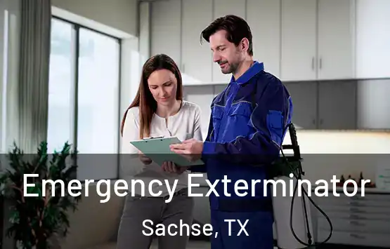  Emergency Exterminator Sachse, TX