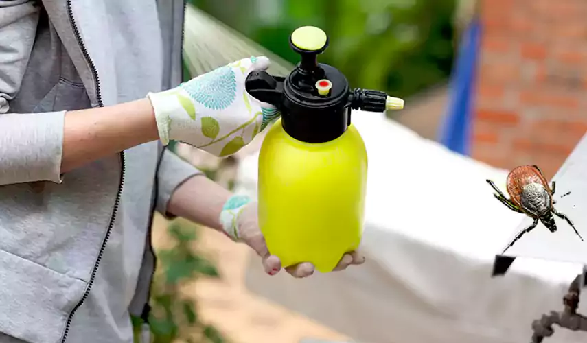 Ticks Pest Control Sachse, Texas