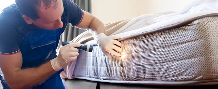 bed-bug-exterminator in Sachse, TX