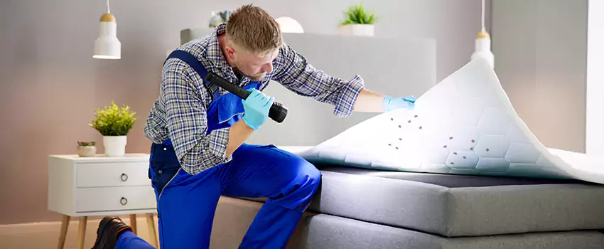 bed-bug-treatment in Sachse, TX