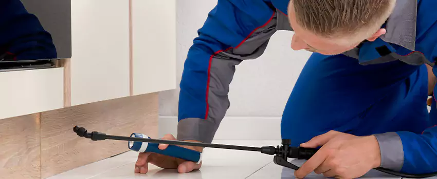 Ant Control for Bedrooms in Sachse, TX