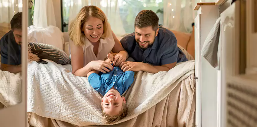 Bed Bug Control for Bedrooms in Sachse, TX