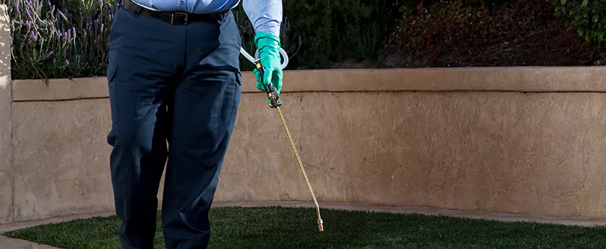 Emergency Pest Extermination for Children and Pets Sachse, TX
