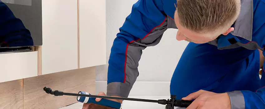 Termite Control for Children and Pets in Sachse, TX