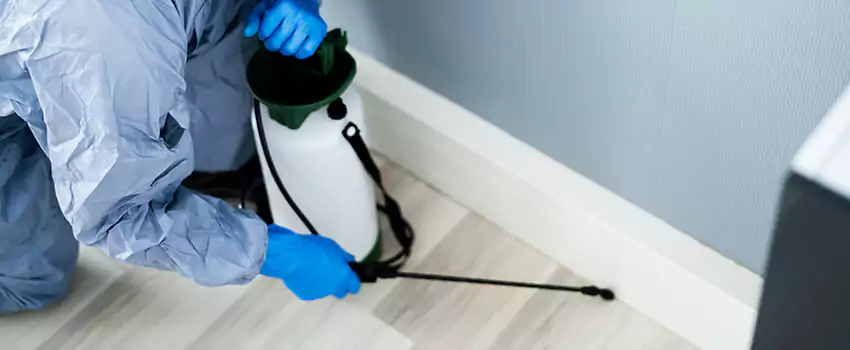 cockroach-exterminator in Sachse, TX