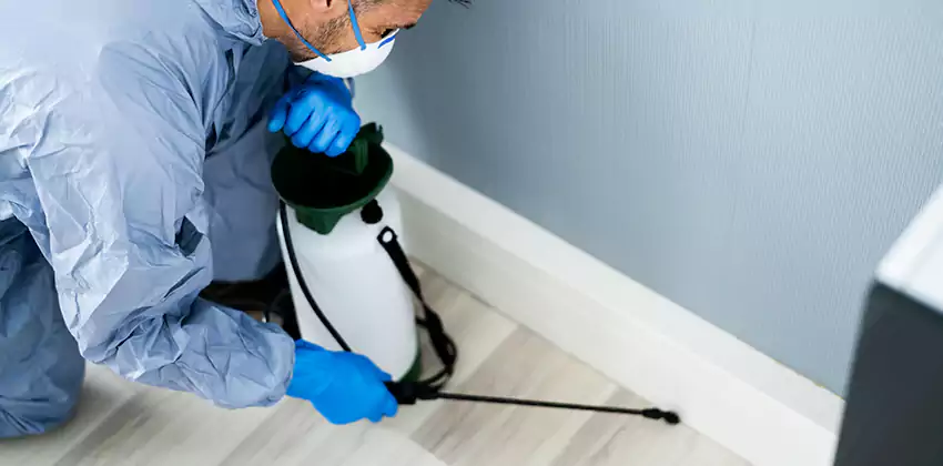 commercial-pest-exterminator in Sachse, TX