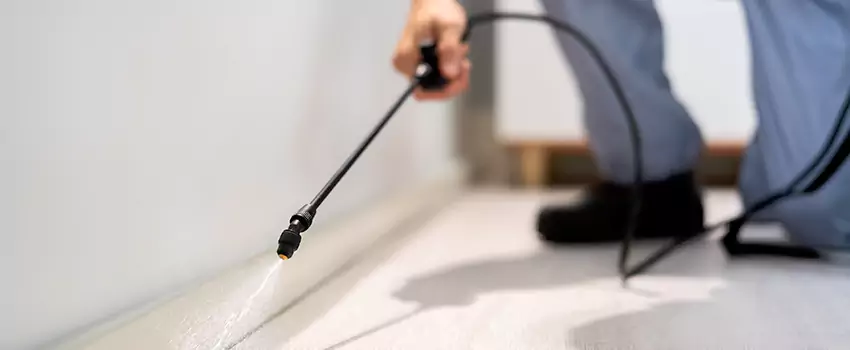 pest-exterminator in Sachse, TX