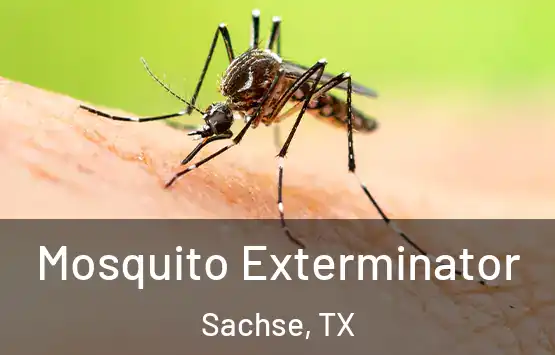  Mosquito Exterminator Sachse, TX