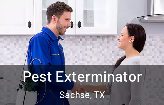  Pest Exterminator Sachse, TX