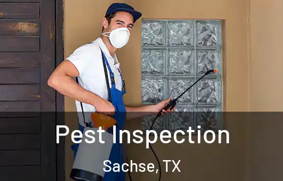  Pest Inspection Sachse, TX