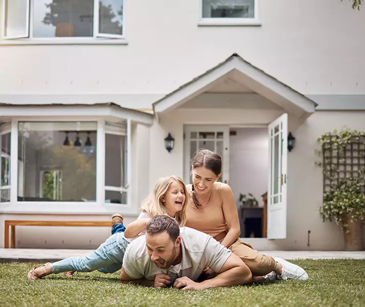 About Ant Control Sachse