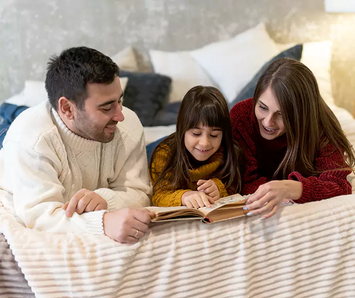 About Bed Bug Pest Control Sachse