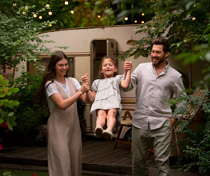 About Flea Treatment Sachse