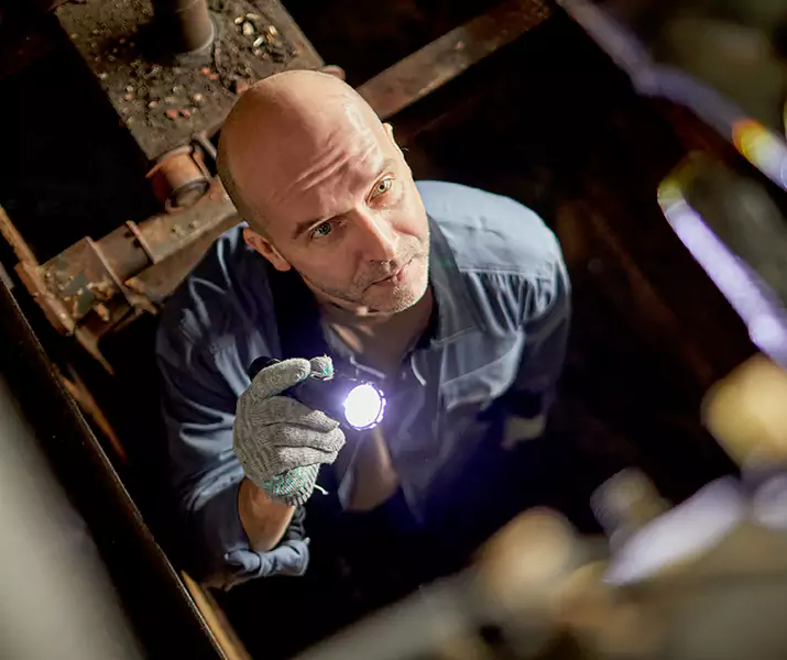 About Pest Inspection Sachse