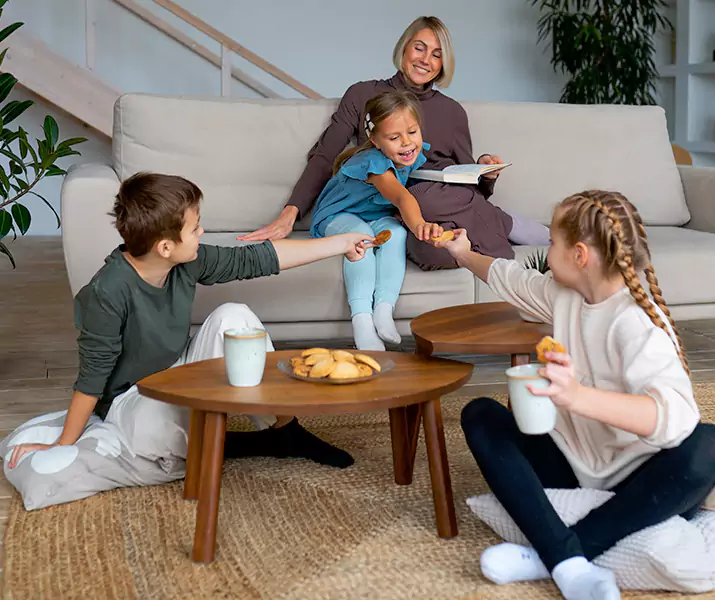 About Spider Exterminator Sachse