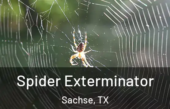  Spider Exterminator Sachse, TX