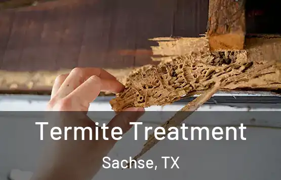  Termite Treatment Sachse, TX