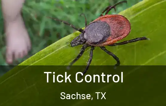  Tick Control Sachse, TX