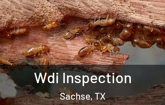  Wdi Inspection Sachse, TX